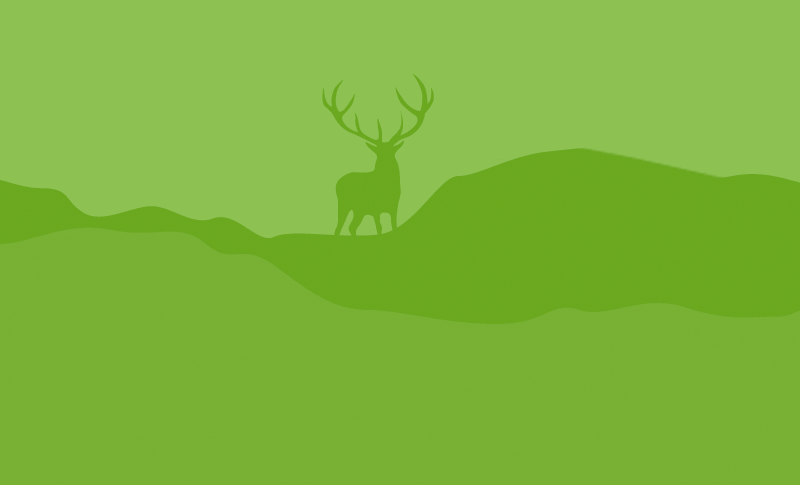 Fresh Air Leadership